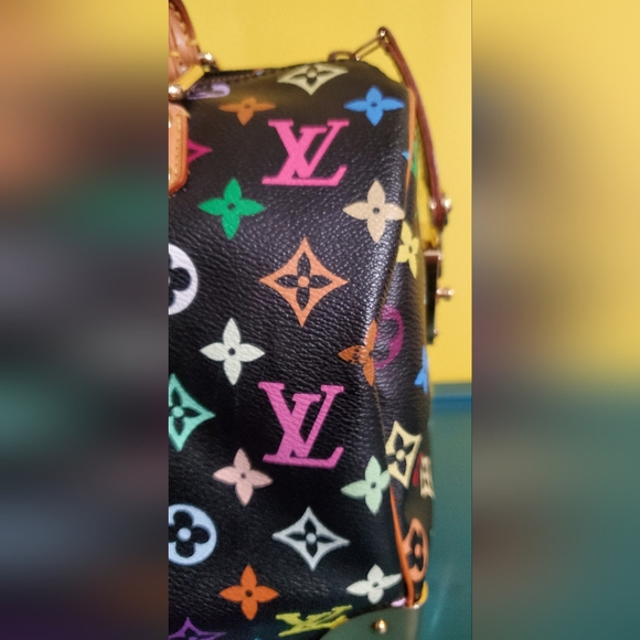 Louis Vuitton Multicolor Speedy - Picture 8 of 16
